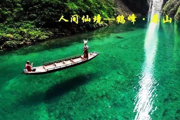 坚持“低干扰”理念,南京开展24小时候鸟主题直播